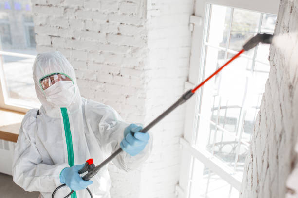 Best Crawl Space Mold Remediation  in New Hope, PA