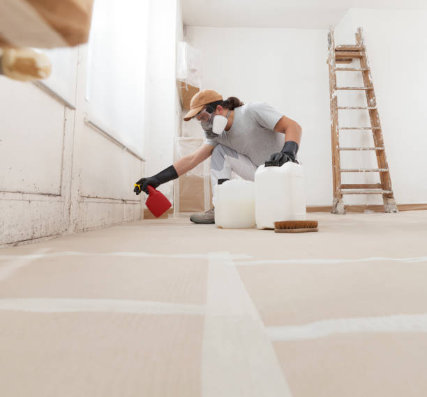 Best Mold Remediation for Healthcare Facilities  in New Hope, PA